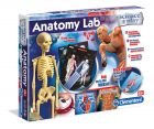 Clementoni Anatomy Lab - ihminen
