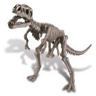 Tyrannosaurus Rex Skeleton - Dinosauruksen luuranko
