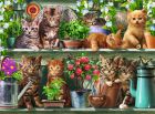 Cats on the Shelf - Ravensburger palapeli 500 palaa