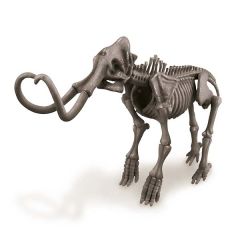 Mammoth Skeleton - Mammutin luuranko