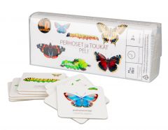 Kortista näet suomenkielisen nimen lisäksi perhosen tai toukan latinankielisen nimen. 