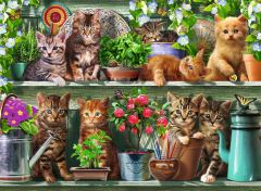 Cats on the Shelf - Ravensburger palapeli 500 palaa
